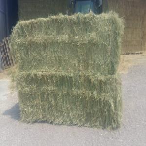  Foin 2023 Hay 2023 Extra - aliments pour animaux vend foin 2023 en big baler 70x120x240 ou 90x120x240 ou round baller diamètre 125 --livraison toute distance / transport possible --qualité extra pour chevaux / animaux allaitants.--plusieurs lots rayon 200kms autour de paris. --