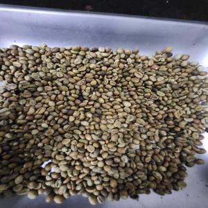  Cafe Robusta Arabica Cacao - café cacao thé vente en gros cafe grain vert 100% robusta tout grade et arabica origine afrique de l'ouest cote d'ivoire cameroun (ainsi que cacao et d&eacute;riv&eacute;s) spot ou contrat minimum 18 tonnes nous consulter pour + d'infos tarifs quantit&eacute; minimum modalit&eacute;s de paiement. cdlt 