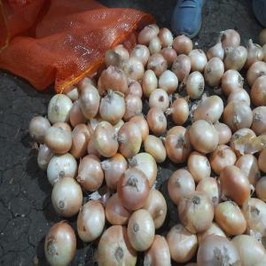  Oignons Rouge Et Jaune Rocambole - fruits et légumes bonjour, --nous sommes une entreprise belge sp&eacute;cialis&eacute;e dans l'import-export d'&eacute;pices,  d'herbes aromatiques de feuilles de th&eacute;,  de patates et d'oignons.--nous recherchons des clients qui seraient int&eacute;ress&eacute;s par nos oignons rouges et jaunes originaires d'egypt