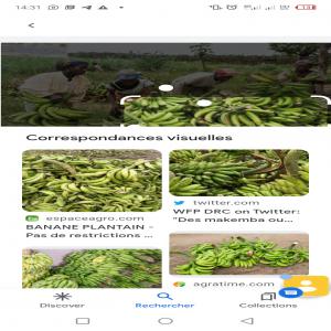 Locaux Du Bénin - autres manioc d'arachide s&eacute;ch&eacute; d'haricots blanc comme rouge huile de palme et bananes plantains en quantit&eacute; et en qualit&eacute; 