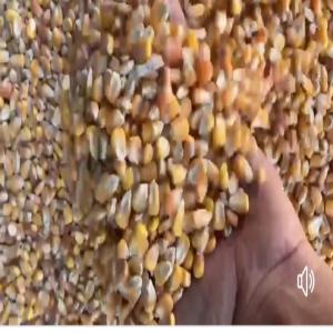  Vente De Maïs Pour Hommes Et Animaux (volaille) - aliments pour animaux maïs fourrage pour volaille--qualit&eacute; premium--humidit&eacute; inf&eacute;rieure &agrave; 12%--la quantit&eacute; est d'environ 17 000 tonnes--le prix est de 335 $ - la tonne--origine br&eacute;sil----maïs nourrir pour animaux--origine ukrainienne--17 000 tonnes--335 $ sans sacs ---mais consom