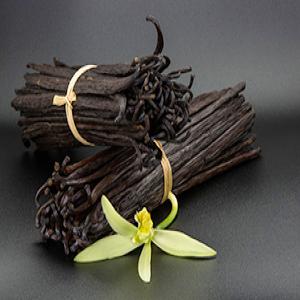  Vanille Png Tahitensis - épices aromates vanille tahitensis et planifolia de qualit&eacute; a et b en direct des agriculteurs de vanille en papouasie nouvelle guin&eacute;e j'exporte vers tous les pays. tahitensis « over dry » pour une utilisation industrielle. le taux d'humidit&eacute; est de 15%. prix est fob 100 us$/kg tahitensi