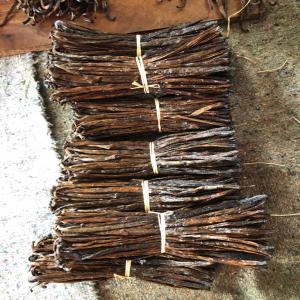 Vanille Gourmet Madagascar Maroa Stock En France - épices aromates nous sommes producteur à madagascar maroantsetra de vanille gourmet. nos structures juridiques malgaches et françaises nous autorisent l'importation en france. vous achetez donc directement à notre société française et évitez les risques et incertitud