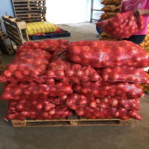  Oignon Rouge Jaune Blanche - fruits et légumes nouvelle saison et recolte année 2023 pour les oignons au maroc, très bonne qualité et calibre accepte avec emballages 10 - 16 - 20 - 25 et 1000 kg.livraison avec ou sans transport.