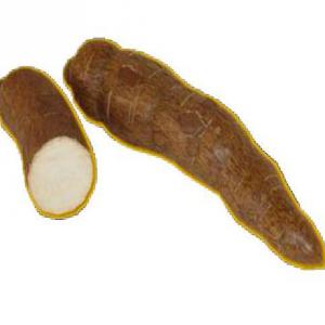  Manioc, Igname, Banane Plantain, Patate Douce - fruits et légumes vente et achat et dépôt-vente de produits exotiques africains pour magasin exotique -  manioc,  igname,  banane plantain,  ----piment,  gombo,  aubergine en gros,  en demi-gros,  et à de bon prix pour revendeurs,  distributeurs,  importateurs.----- légumes et fruits au choix ------