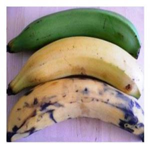  Banane Plantain, Igname, Manioc, Patate Douce - fruits et légumes vente et achat et d&eacute;p&ocirc;t-vente de produits exotiques africains pour magasin exotique - banane plantain,  igname,  manioc,  patate douce,  piment,  gombo,  aubergine en gros,  en demi-gros,  et &agrave; de bon prix pour revendeurs,  distributeurs,  importateurs.----- l&eacute;gumes et fruits au cho