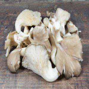  Investir Associé Extension Champignonniere - champignon levure . pour &eacute;tendre la production et moderniser la production du champignons notamment les pleurotes blancs et gris (suivant un projet technique et commercial ambitieux) nous recherchons 1 ou 2 investisseurs potentiels pour des apports financiers faibles &agrave; moyens et un risque tr&e