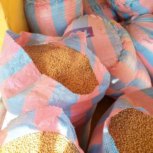 Soja Nettoyé, Cleaned Soyabean - céréales bonjour partenaire,  nous disposons de soja de qualité déjà traité au togo.--nous pouvons honorer jusqu'à un contrat de plus de 5, 000 tonnes et notre meilleur prix est de 295f/kilo.----hi partner we have cleaned soyabean in togo. --we can supply more than 5, 000 tons