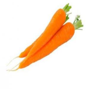  Carrottes, Oignons, Pomme De Terre, Plantain, - fruits et légumes vente et achat et dépôt-vente de produits exotiques africains pour magasin exotique - carrottes,  oignons,  pomme de terre,  banane plantain,  igname,  manioc,  patate douce,  piment,  gombo,  aubergine en gros,  en demi-gros,  et à de bon prix pour revendeurs,  distributeurs,  importateurs.-