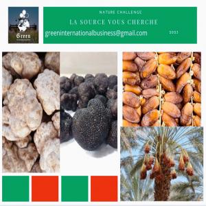  Dattes Nour - fruits et légumes nous avons le plaisir de vous annoncer une nouvelle opportunit&eacute; de partenariat commercial dans le domaine de l'exportation des produits agricoles alg&eacute;riens plus pr&eacute;cis&eacute;ment les dattes et les truffes. entreprise alg&eacute;rienne sp&eacute;cialis&eacute;e dans la product