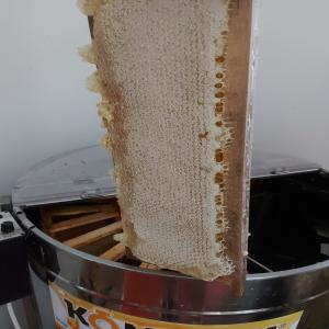  Miel Sauvage En Rayons, Prix Sans Concurrence - produits sucrés grossiste en miel de france et du monde. miel en rayons- cadres d'environ 2, 2 kg. produits tr&egrave;s rare. stock dispo et visible &agrave; marseille. nos avons en stock plus de 40 sortes de miel bio et conventionnel,  mais aussi de la gel&eacute;e royale,  propolis,  pollen. ils sont- non m&eacute;la