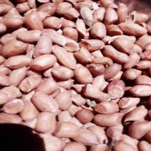  Arachide Décortiquée - fruits secs et graines grillées  &agrave; tous. nous sommes une coop&eacute;rative de production d'arachide. nous disposons de plus de 1000 tonnes d'arachide d&eacute;cortiqu&eacute;e de qualit&eacute; sup&eacute;rieure. nous souhaitons un partenariat &agrave; long terme. merci de nous contacter.