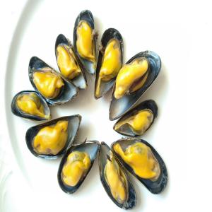 Moules De Bouchot Et De Cordes - coquillage crustacé bonjour je vous propose des moules de cordes et de bouchot .la provence charente maritime sac de 5/ 10/15kg , poche de 2 kg ou bac 400 kg cordialement