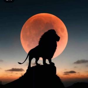  Vente Carroub Tunisien Resament Cultivée - fruits secs et graines grillées vente carroub tunisien resament cultiv&eacute;e prix mondial qualit&eacute; vip stockage conditionn&eacute; quontite sur commande. in god we trust 