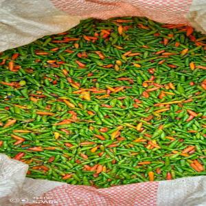  Piment Pili Pili - fruits et légumes nous disposons en quantit&eacute; et en qualit&eacute; export des piments pili,  rouge,  vert ,  secs,  frais,  bio de madagascar,  d&eacute;j&agrave; disponible &agrave; tananarive 