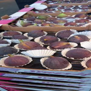  Figue, Figue De Barbarie Melon Pastèque - fruits et légumes disponible de l'alg&eacute;rie fruit et l&eacute;gume (past&egrave;que melon figue de barbarie et figue) frais pour l'exportation et pour le vente en alg&eacute;rie