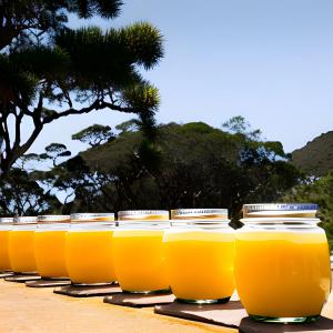  Frozen Fruit Puree From Madagascar - concentrated juice syrup the company is the reference in juices and purees 100% natural from madagascar.  transforming the finest fruits into frozen puree (lychee/pineapple/ passion fruit/mango/guava/soursop)