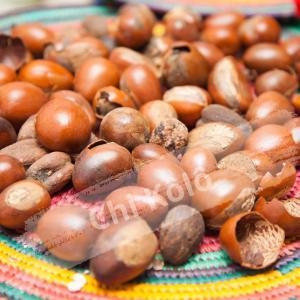  Karité Et Noix De Cajou Bruts - fruits secs et graines grillées d&eacute;couvrez ,  votre partenaire de confiance pour l'exportation de noix de karit&eacute; et de cajou en grande quantit&eacute; !-- ,  nous sommes fiers de vous proposer des produits naturels d'une qualit&eacute; exceptionnelle. sp&eacute;cialis&eacute;s dans l'exportation de noix de karit&eacute;