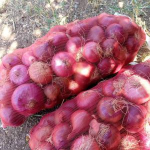  Oignon Rouge - fruits et légumes bonjour,  on dispose d'une grande quantité d'oignon rouge de très bonne qualité et un prix compétitif.--merci de nous contacter par email ou whatsapp pour vous donner notre meilleur offre de prix.