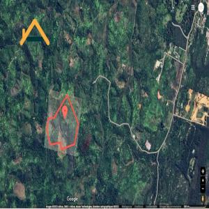  Terrain Agricole Vendre Ivoloina Toamasina - mine terrain concession a vendre terrain &agrave; vocation agricole ivoloina tamatave 2 arbres fruitiers maniocs pisciculture d&eacute;j&agrave; pr&eacute;sents. dont une partie du terrain du riz de montagne 10ha ou 100.000m2 disponibilit&eacute; en eau marais a 3km de la rn5 route secondaire titr&eac