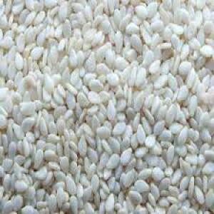  Vente De Maïs De Sésame De Sorgot D'haricot - céréales j' en ai des kilogrammes de graine de  de maïs,  de s&eacute;same,  de sorgot et d'haricot avec des prix satisfaisante 