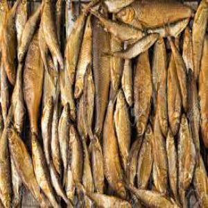  La Vendeur De Poissons Fumés En Bol - poissons je suis un vendeur des poisson fumée en bol . vous pouvez commandé vos poisson avec vos quantité désirable 
