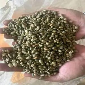  Poivre Sauvage Madagascar - épices aromates poivre bio . le voatsiperifery est un poivre sauvage que l’on trouve &agrave; madagascar. il pousse sur des lianes qui se d&eacute;veloppent &agrave; la cime des grands arbres entre 10 et 20 m&egrave;tres. c'est un piper borbonense proche de la famille des poivres &agrave; queue (poivre cub&egrave;