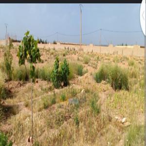  Partenaires Pour L'achat D'un Lot De 300 Parcelle - mine terrain concession un lot de 300 parcelles de 150m2 disponibles à ndoukoura à yene.--prix 4.500.000 franc cfa par parcelle.--papier - bail individuel--vente devant notaire 