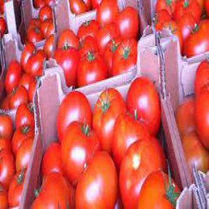  Recherche Acheteurs Pour Nos Legumes Et Fruits - fruits et légumes nous recherchons des grossistes internationaux ce sont des entreprises bas&eacute;es dans d'autres pays g&eacute;n&eacute;ralement en europe en am&eacute;rique du nord ou au moyen orient qui ach&egrave;tent de grandes quantit&eacute;s de fruits et l&eacute;gumes frais africains pour les distr