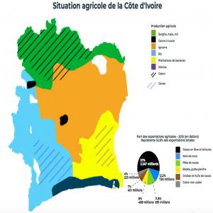  Reseau De Producteurs Agroalime De Côte D'ivoire - autres bienvenu en cote d'ivoire,  premier producteur mondial du cacao--je me nomme ernest aboua. responsable d'un grand r&eacute;seau de produteurs(fournisseurs) et consommateurs(clients) de produits agroalimentaires et industriels. ----situ&eacute; &agrave; abidjan,  je suis pret &agrave; vous livrer la qu