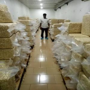  Tonnes D'anacarde Décortiquée Disponibles - fruits secs et graines grillées nous mettons &agrave; la disposition de tous nos chers clients des tonnes d'anacarde brutes et d&eacute;cortiqu&eacute;es (ww240,  ww320,  sw240,  sw320)