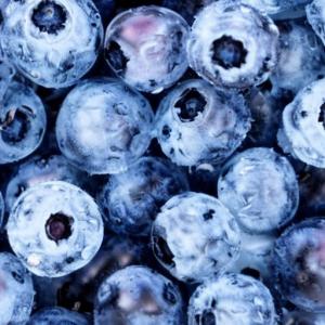  Myrtilles Sauvages D'ukraine. - fruits et légumes cette ann&eacute;e la r&eacute;colte de myrtilles sauvages sera courte. les derni&egrave;res cueillettes sont en cours. c'est tr&egrave;s inhabituel. contactez-nous rapidement si vous avez un besoin.  --best-sellers - myrtilles sauvages class b. un superbe produit vendu &agrave; un prix avantageux. 