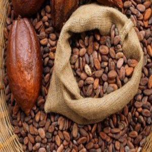  Achat De Fèves De Cacao - café cacao thé recherche urgemment fournisseur de fèves  de cacao pour une quantité de 2000 tonnes. a livrer non loin d'abidjan. paiement au déchargement par chèque. veuillez me contacter si vous etes en mesure de nous fournir.