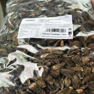  Morille Extra Par Sachet 1kg - champignon levure bonjour----je vous propose des morilles extra sans queue déshydratée à 170€/kg----n’hésitez pas à me contacter pour vous transmettre photo et fiche technique du produit ----origine turquie canada usa