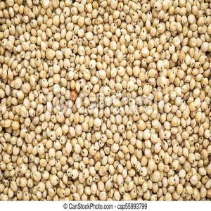  Recherche Du Sorgho, Soja ... - céréales je suis &agrave; la recherche du sorgho ou du soja de plus de 10000mt.  moi je suis de nationalit&eacute; togolaise pour toute information vous pouvez me contacter