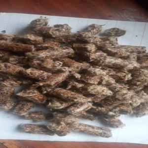  Vend Aliments Pour Betail - aliments pour animaux bonjour --nous mettons en vente ----des pellets a base de graine de coton---des tourteaux en farine de graine de coton---des tourteaux en farine de graine de soja ,  aliments pour bétails favorisant à leur developpement ,  super apport en proteine.--nous vendons à la tonne.--merci