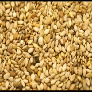  Sesame - fruits secs et graines grillées l'huile de sesame (sesamum indicume) est utilisée à des fins thérapeutiques depuis des milliers d'années. elle est mentionnée dans les vedas comme excellente pour l'etre humain. naturellement antibactérienne,  elle agit contre les microbes pathogènes c