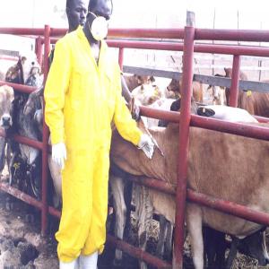  Vaccins Veterinaires - chimie additif engrais bonjour,  --nous sommes une société ukrainienne spécialisée dans la production de vaccins vétérinaires. nous cherchons actuellement des clients et distributeurs sur le continent africain.--pour plus d'information,  merci de nous contacter.