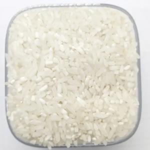  Besion Urgent: Riz 5% Et 25% Brisure - fruits et légumes besion d'un fournisseur sérieux de riz pour un contrat de 12 fois---6250 tonnes riz 5% brisure --6250 tonnes riz 25% brisure --en sac de 50 kilos--prix cif --