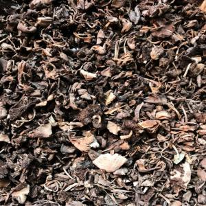  Djondjon - champignon levure je recherche du djondjon de bonne qualité pour la cuisson c'est une sorte de petit champignon séché qu'on utilise dans l'alimentation haïtienne. je suis pret à acheter 1 tonne et plus. la qualité du produit est très important 