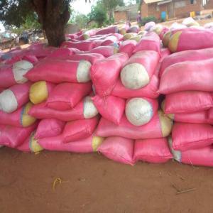  Pâte De Manioc Disponible - féculents nous mettons &agrave; votre disposition de la p&acirc;te de manioc de tr&egrave;s bonnes qualit&eacute;s utilis&eacute;e pour la fabrication d'atti&eacute;k&eacute; ou de placali.--interress&eacute; contactez nous imm&eacute;diatement !!!--capacit&eacute; 500 tonnes par mois 