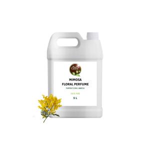  Fournisseurs De Parfum Mimosa En Gros - huiles la note de parfum mimosa évoque une odeur florale légère,  délicate et ensoleillée,  caractérisée par sa douceur et sa fraîcheur printanière. le mimosa,  avec ses petites fleurs jaunes en grappes,  est une fleur très appréci&eac