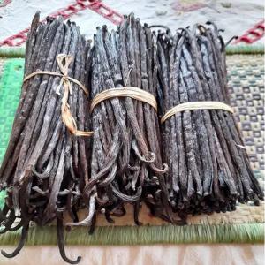  Gourmet Black Vanilla Beans From Madagascar - aromatic spices would you like to import madagascar bourbon vanilla beans from madagascar ? we are reliable vanilla supplier since a long year in madagascar can provide and ship to all country best quality dried vanilla from madagascar as follow the international quality market and ready to ship. specification 