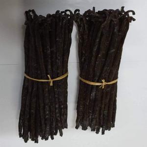  Premium Black Vanilla Beans Madagascar - aromatic spices is your project want to buy or import premium black vanilla beans from madagascar? we are the one company based in madagascar can furnish black vanilla beans at the best price. specification item name vanilla beans length 14cm 20cm moisture 30% 35% vanillin 1.6% 2 4% application ice crea
