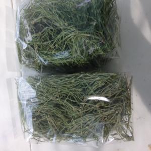 Prêle. Horsetail (equisetum Arvense) Plante Sèche - matiere vegetale prele( petite prele) equisetum arvense / mp pour propri&eacute;t&eacute;s min&eacute;raux silice horsetail ( equisetum arvense) raw materials / silicium / dried plants depuis 10 ans fournisseur en direct producteur !!! since 10 years direct provider !!! en bio et/ou conventionnel 