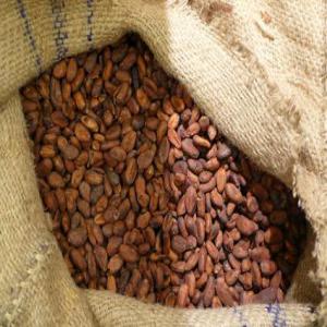  Coffee Beans, Nescafe 3in1 Coffee, Cocoa Beans - café cacao thé we are an export trading house engaged in the procurement import sales and export of fast moving organic non gmo consumer products seafood potatoes tomato paste seeds cocoa beans coffee beans.soybean broad beans fast moving consumer goods confectionery milk powders sugar food and 