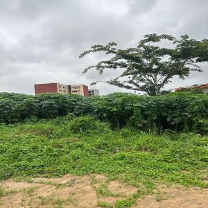  Terrain En Vente - autres terrain a vendre &agrave; angre djorogobit&eacute; superficie 600m2 document titre foncier prix 50 millions &agrave; d&eacute;battre
