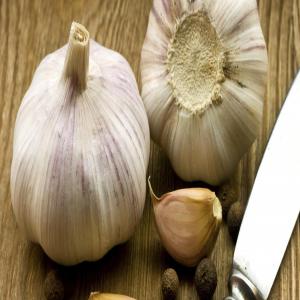  Je Recherche Des Clients Pour L'achat D'ail. - fruits et légumes je suis dans l'import export et je recherche des clients pour mon stock d'ail et diff&eacute;rents produits agricoles 