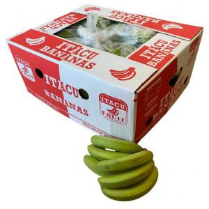  Banane Verte - fruits et légumes banane verte banane jaune banane tourant cherche des partenaires pour la distribution de la banane en europe. banane fruit