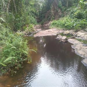  Terrain Agricole De 500 Hectares Louer - mine terrain concession terrain agricole de 5 à 500 hectares à louer pour tous types de projets dans la sanaga-maritime plus presicement à makondo à 18km du centre-ville edea en venant de yaoundé.--le terrain est en bordure de la route nationale n°3 yaounde-douala--  atouts---   -  pi